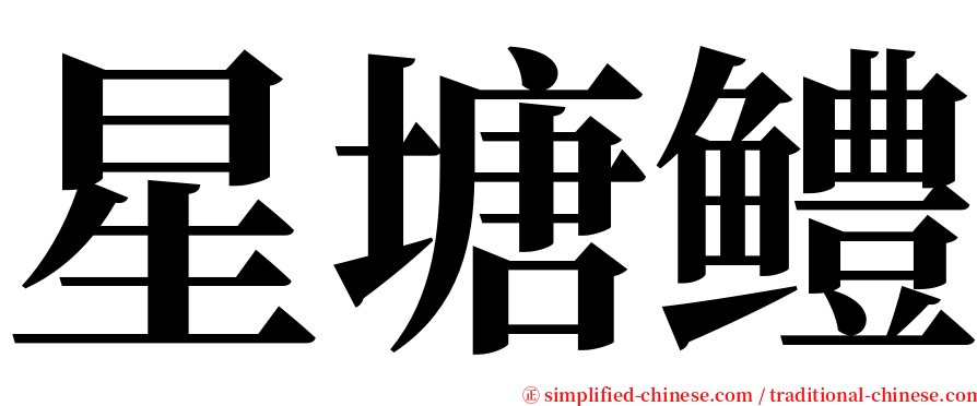 星塘鳢 serif font