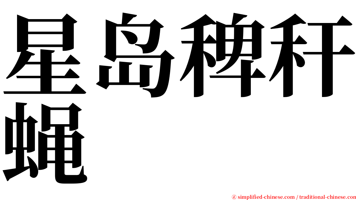 星岛稗秆蝇 serif font