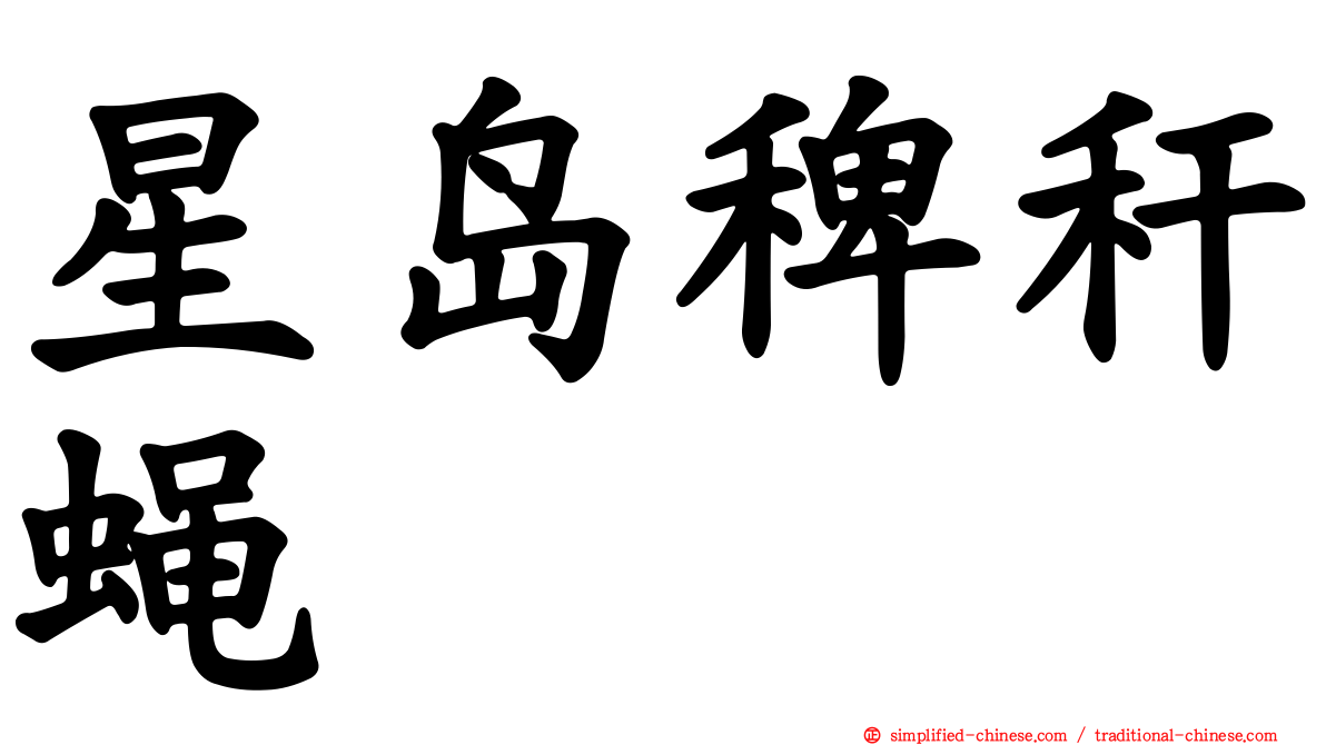 星岛稗秆蝇