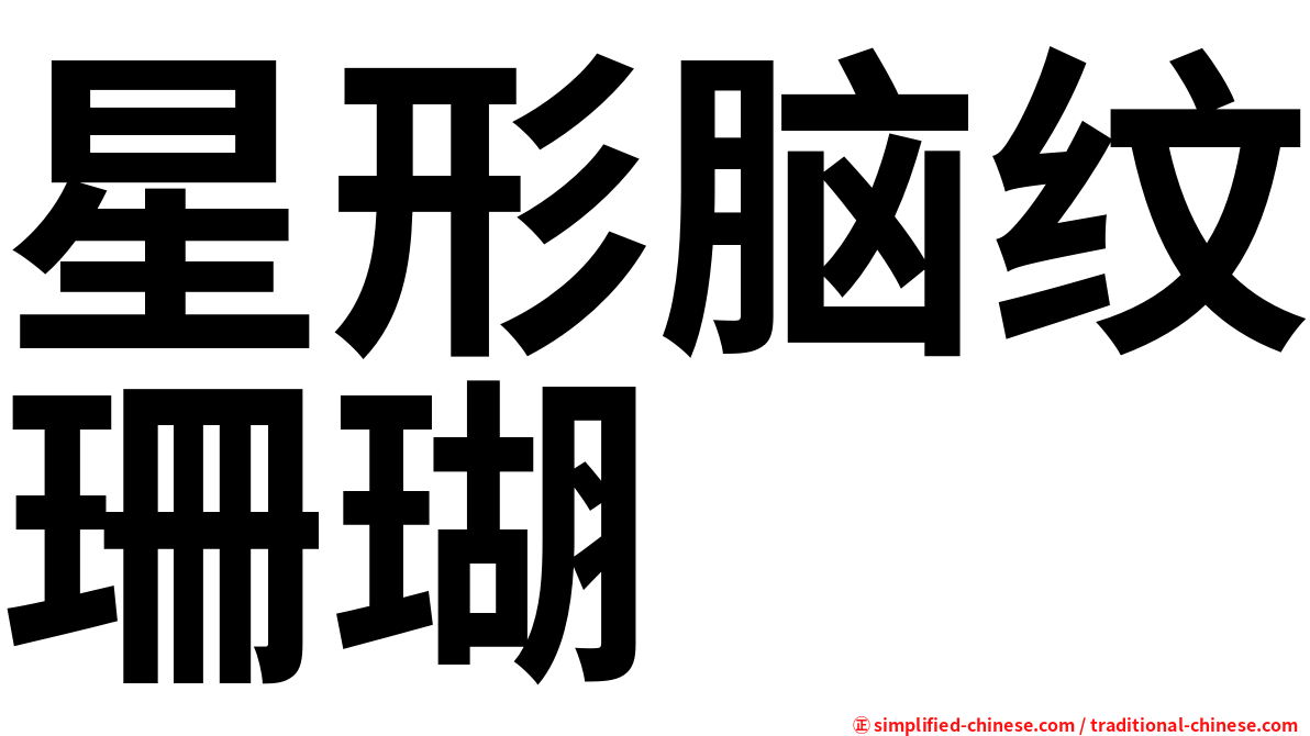 星形脑纹珊瑚