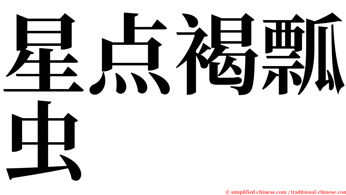 星点褐瓢虫 serif font