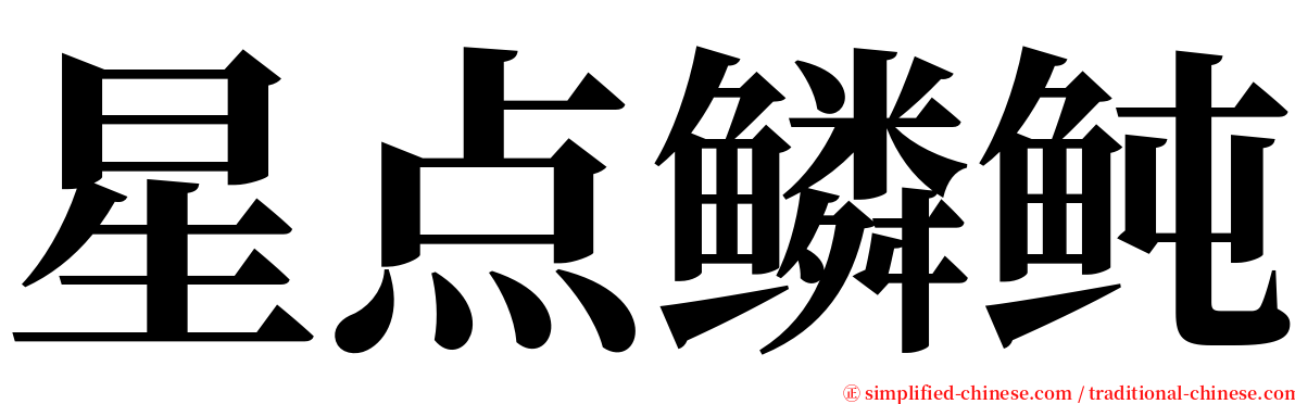 星点鳞鲀 serif font