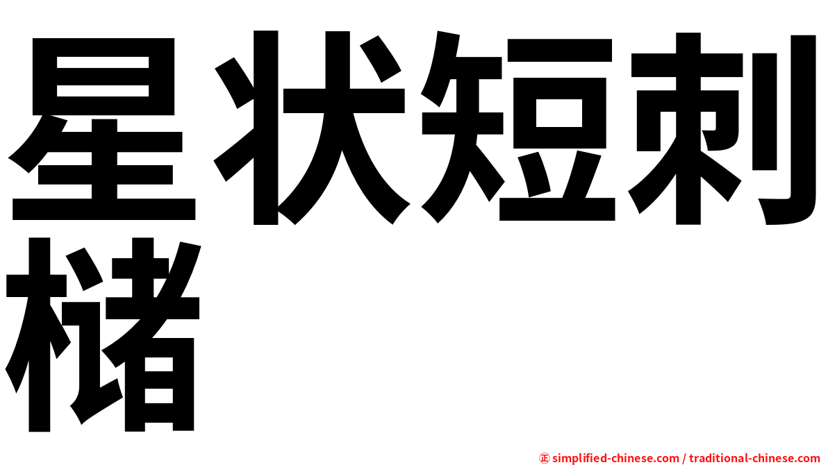 星状短刺槠
