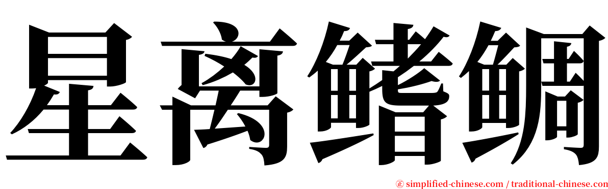星离鳍鲷 serif font