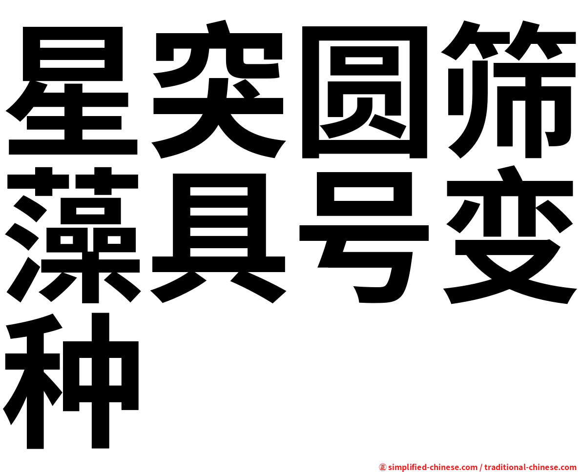 星突圆筛藻具号变种