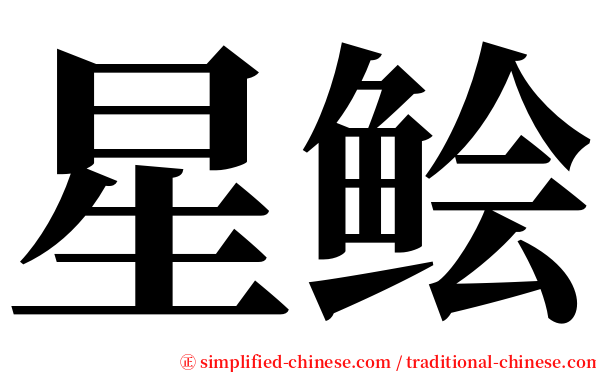 星鲙 serif font