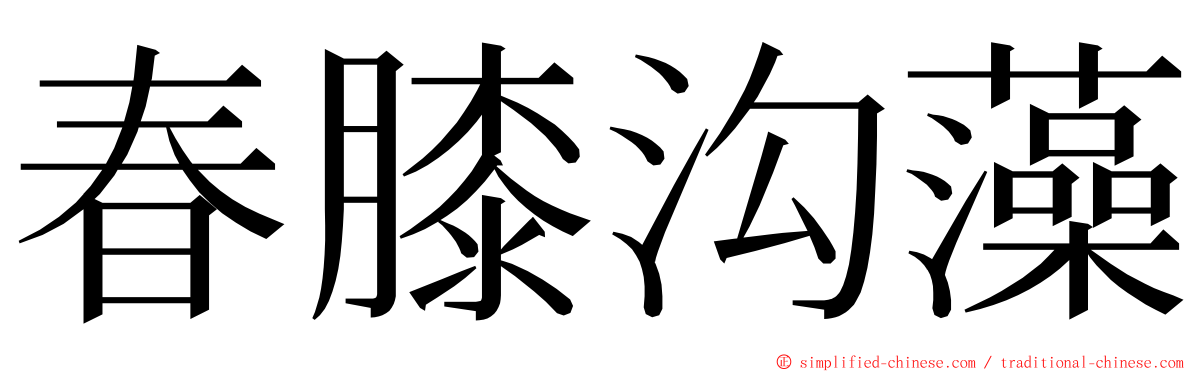 春膝沟藻 ming font