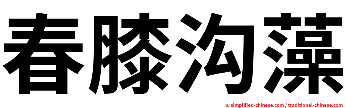 春膝沟藻