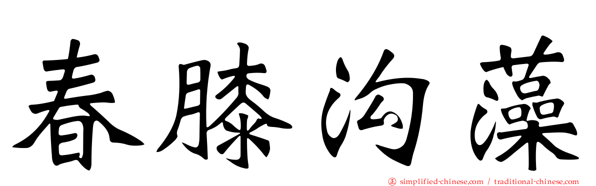 春膝沟藻