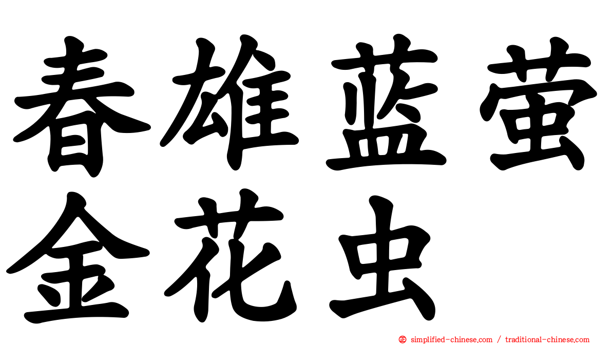 春雄蓝萤金花虫