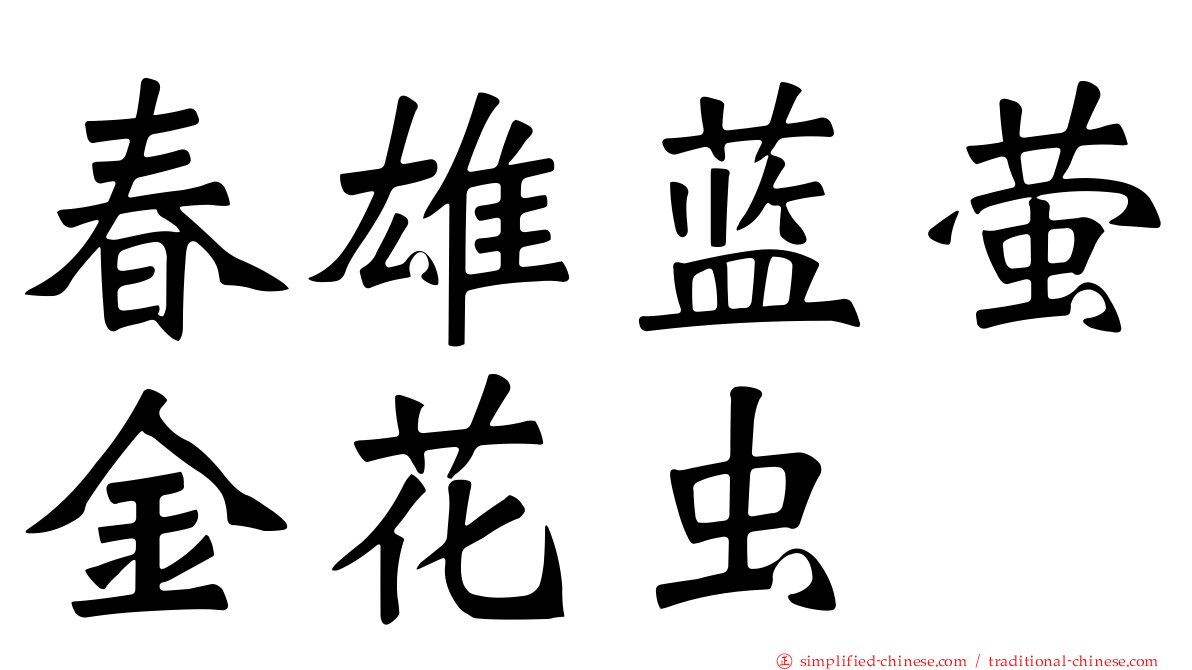 春雄蓝萤金花虫