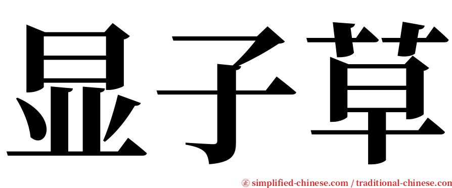 显子草 serif font