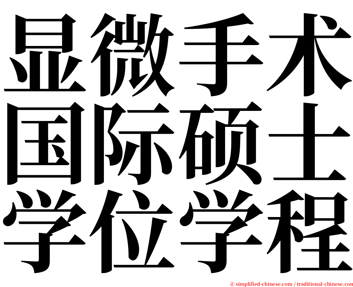 显微手术国际硕士学位学程 serif font