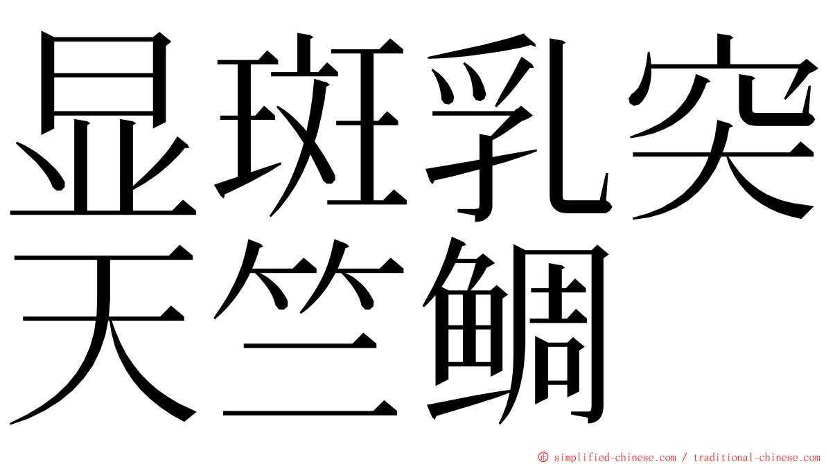 显斑乳突天竺鲷 ming font