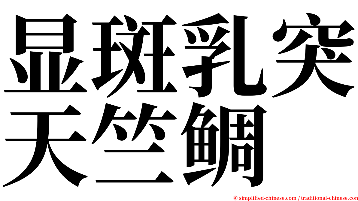显斑乳突天竺鲷 serif font