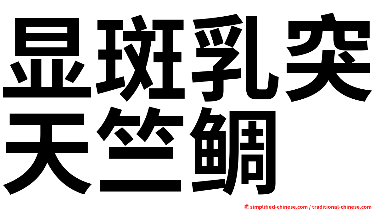 显斑乳突天竺鲷