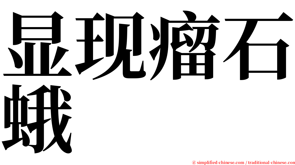 显现瘤石蛾 serif font