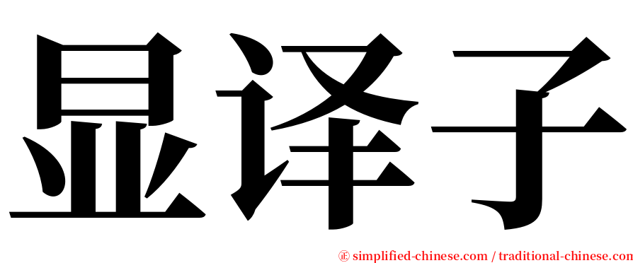 显译子 serif font