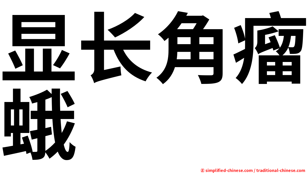 显长角瘤蛾