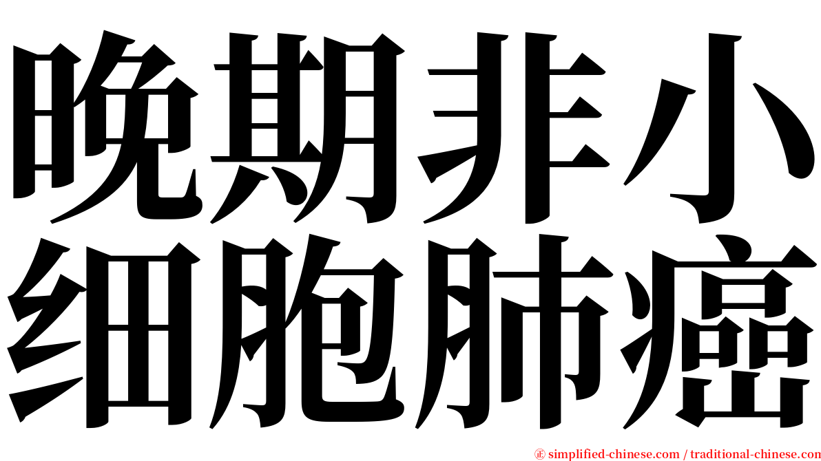 晚期非小细胞肺癌 serif font