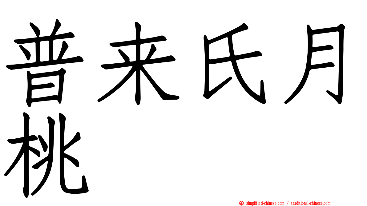 普来氏月桃
