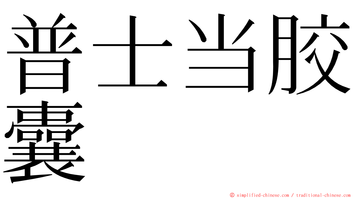 普士当胶囊 ming font