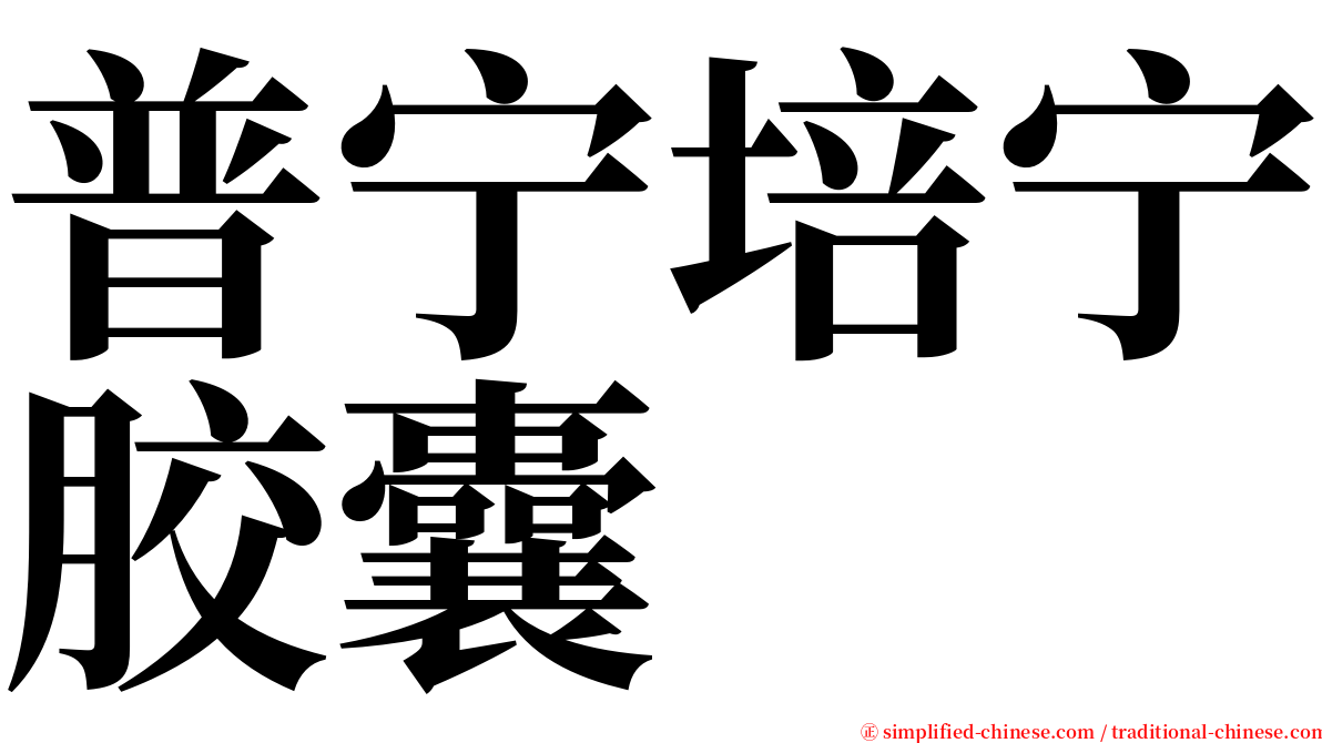 普宁培宁胶囊 serif font