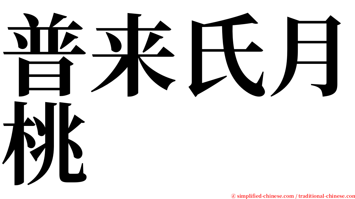 普来氏月桃 serif font
