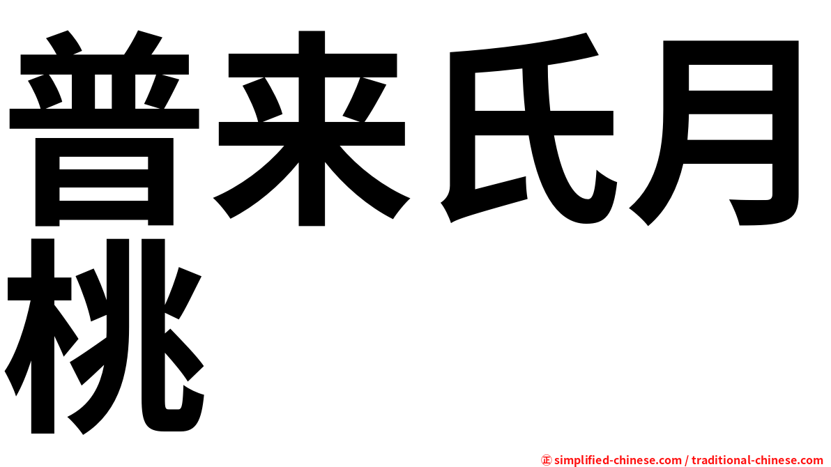 普来氏月桃