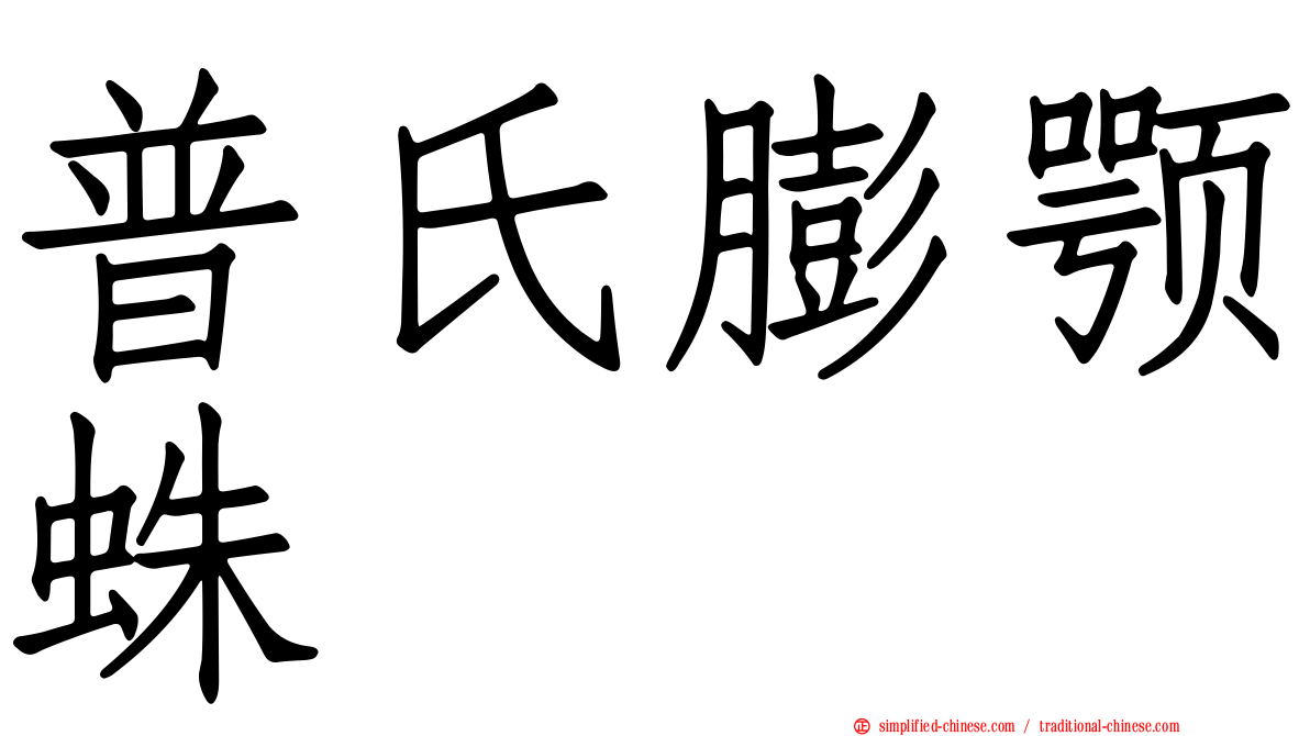 普氏膨颚蛛