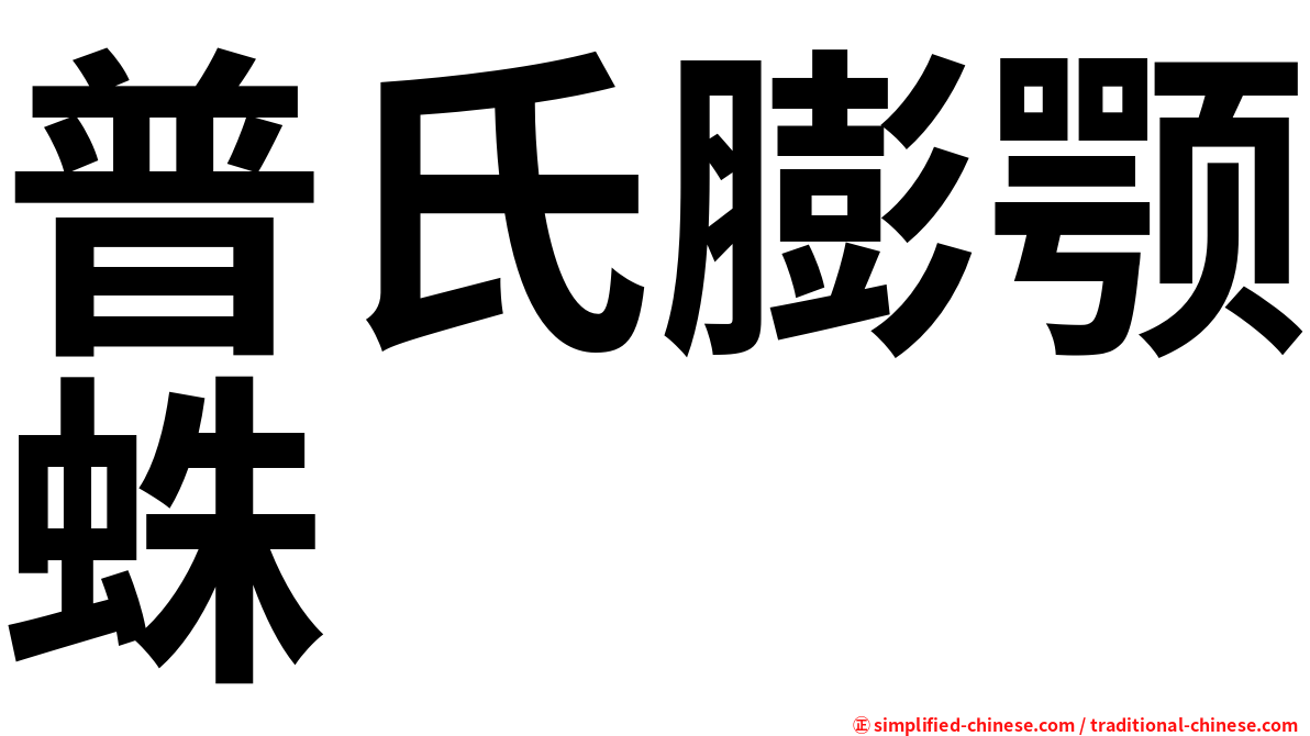 普氏膨颚蛛