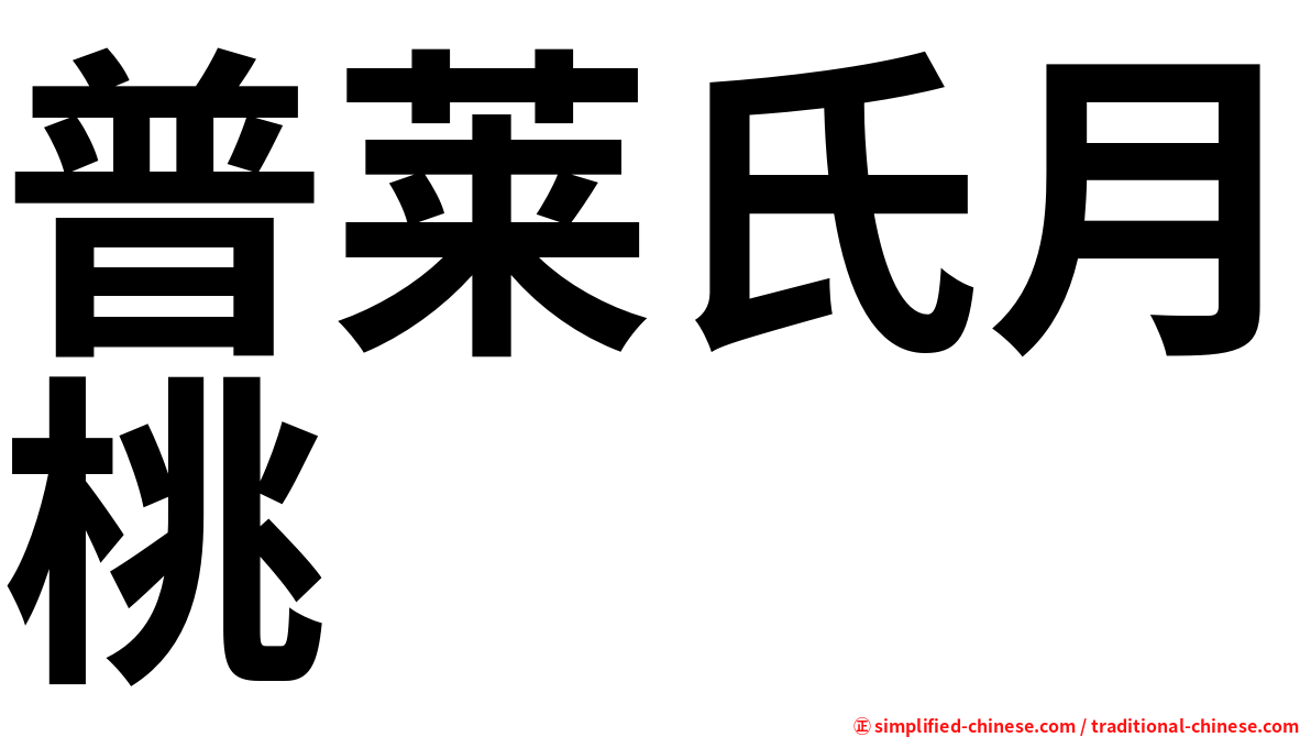 普莱氏月桃