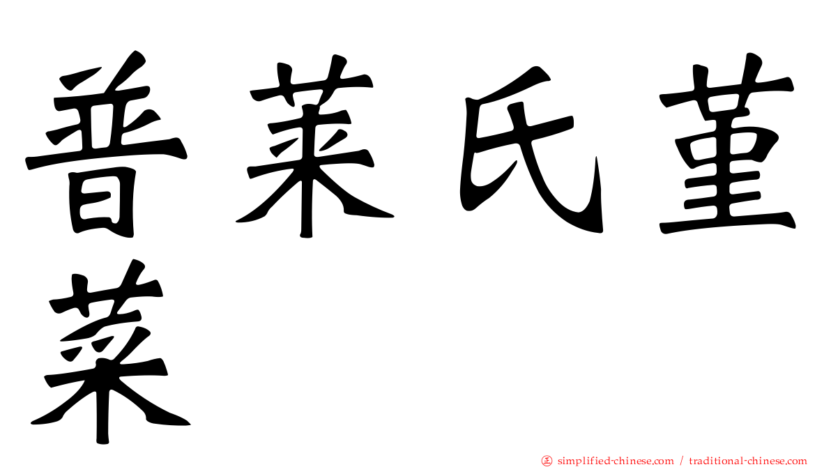 普莱氏堇菜