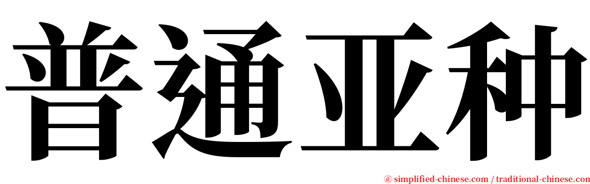 普通亚种 serif font