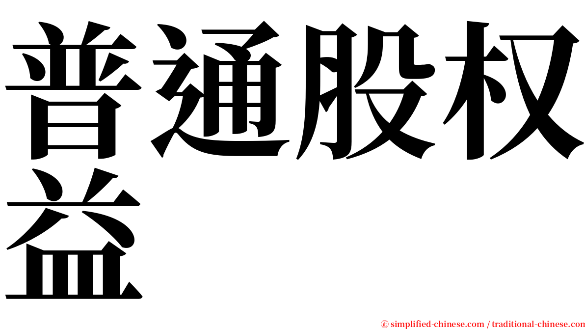 普通股权益 serif font