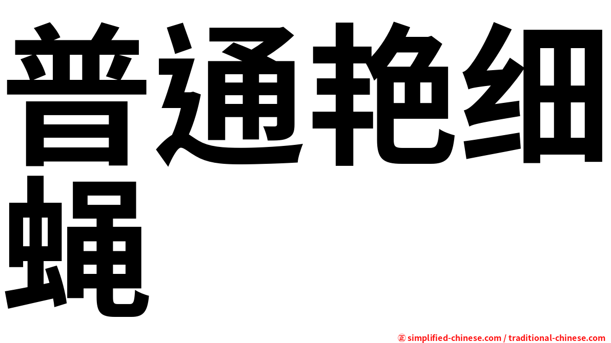 普通艳细蝇
