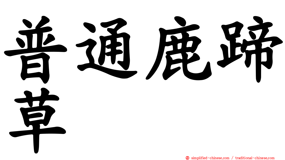 普通鹿蹄草
