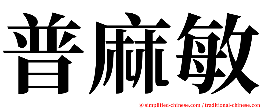 普麻敏 serif font
