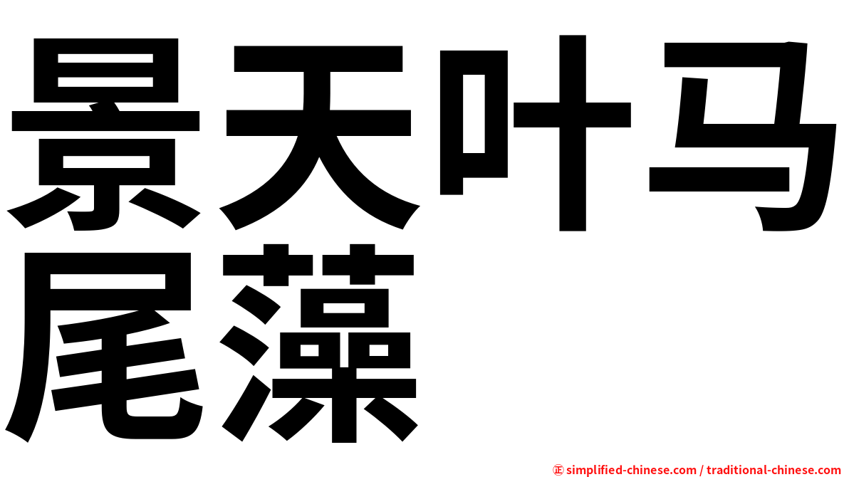 景天叶马尾藻
