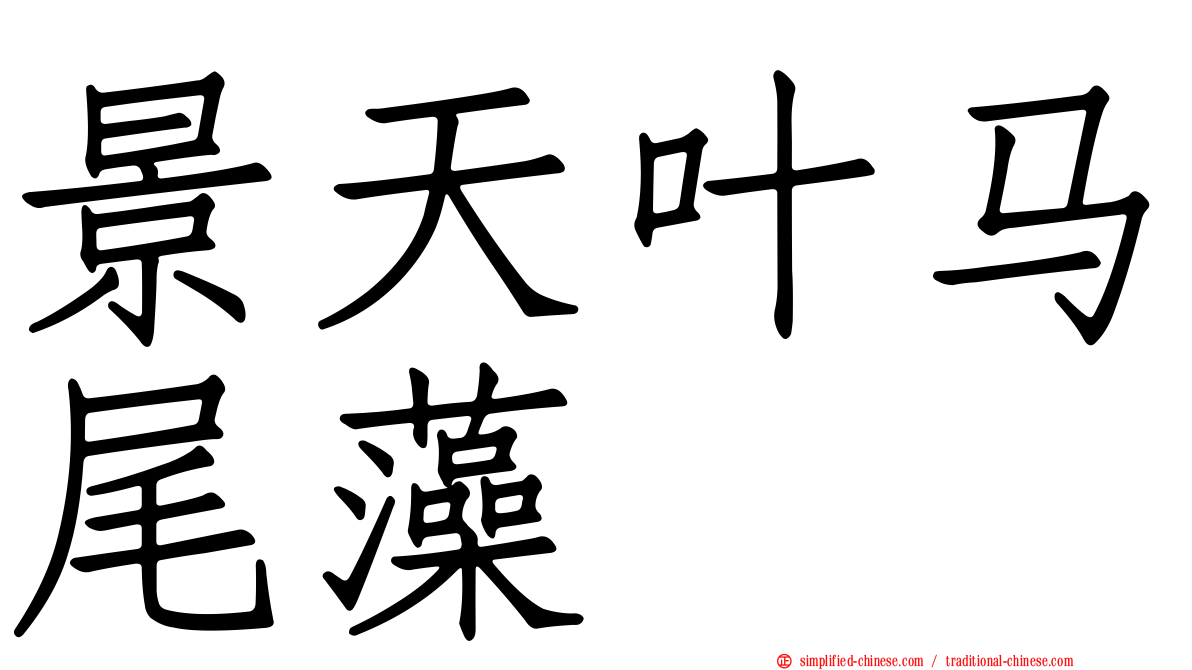 景天叶马尾藻