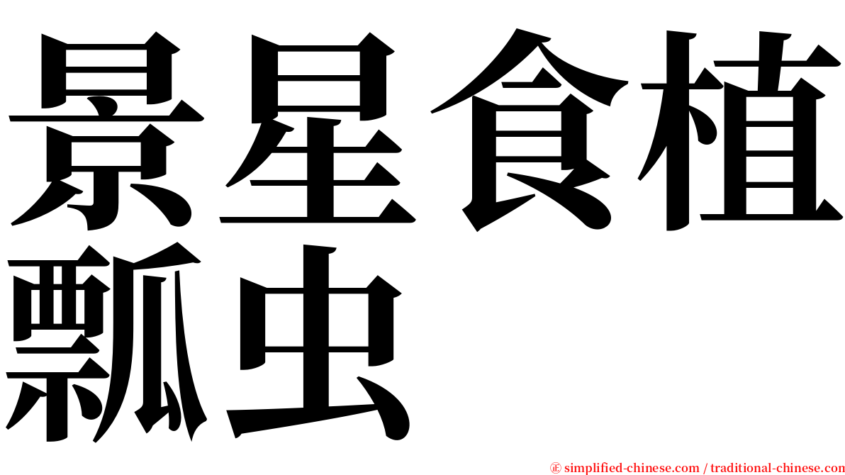 景星食植瓢虫 serif font