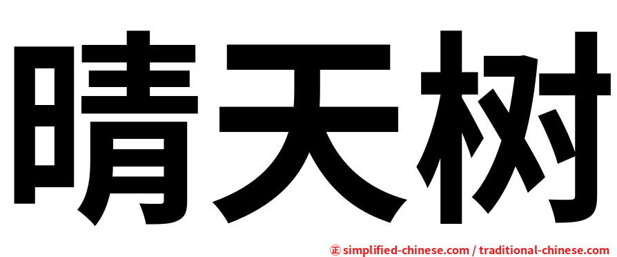 晴天树