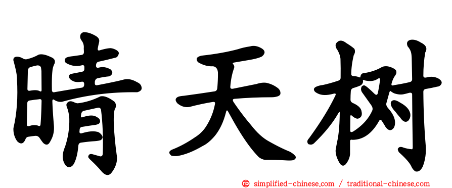 晴天树