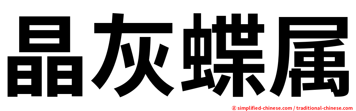 晶灰蝶属