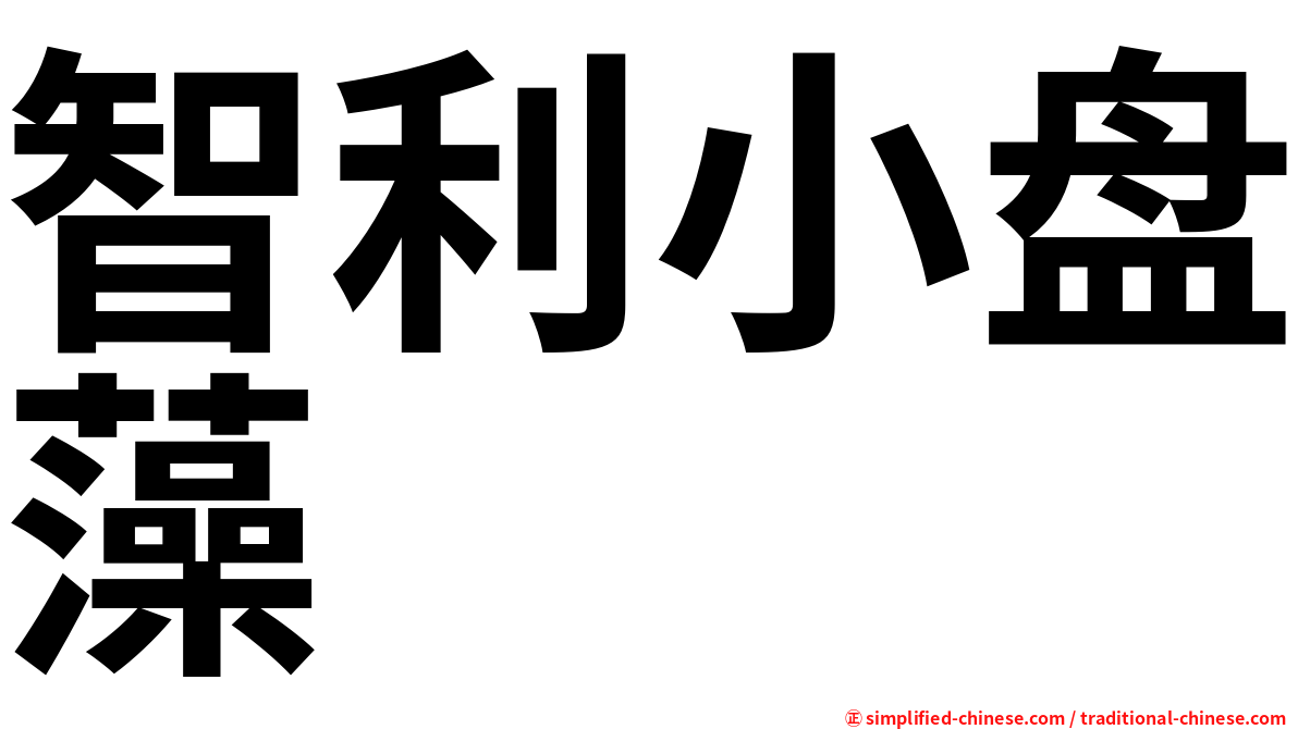 智利小盘藻