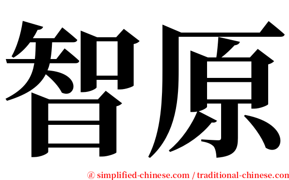 智原 serif font