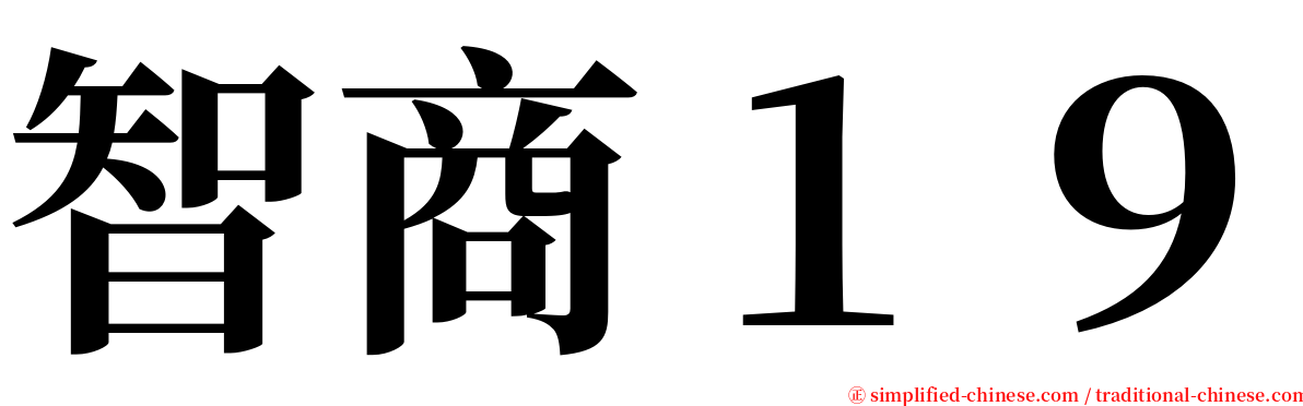 智商１９ serif font