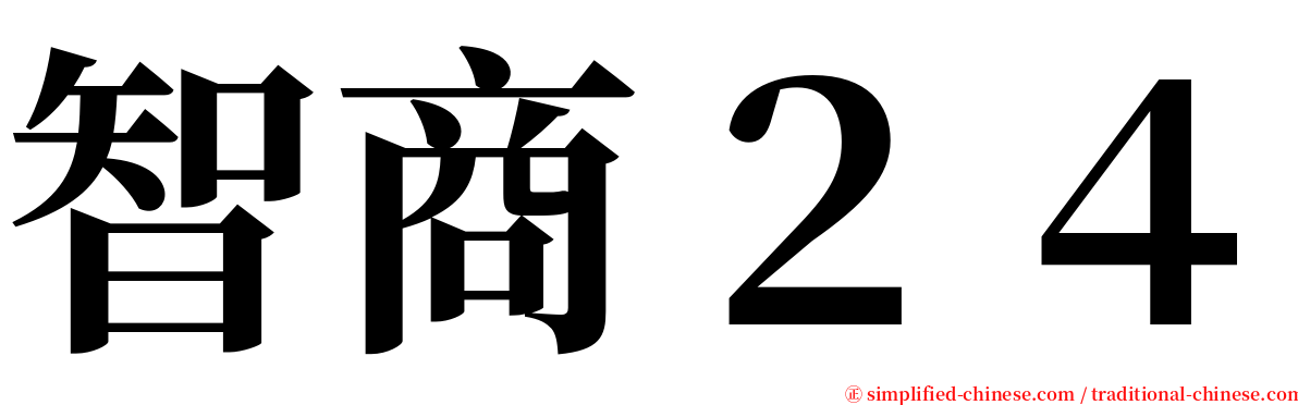 智商２４ serif font