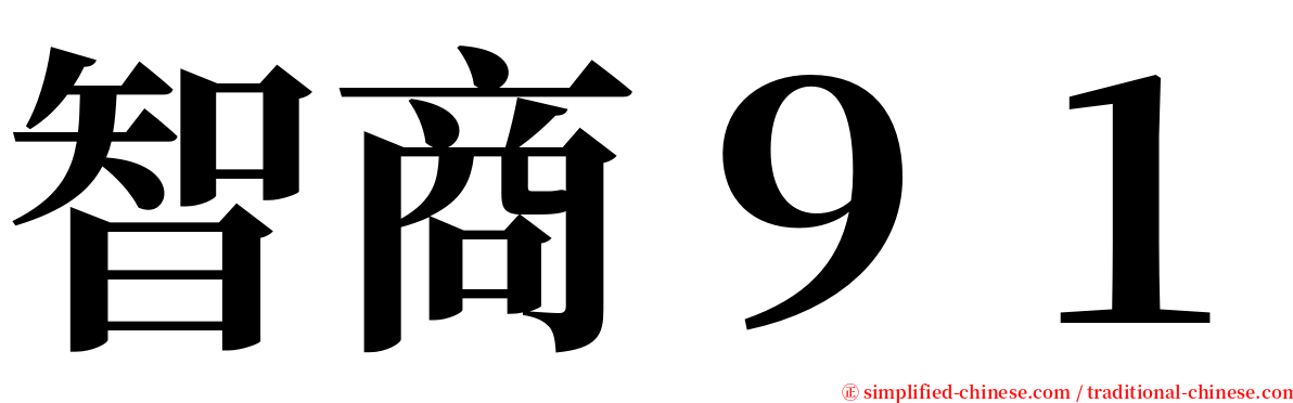 智商９１ serif font