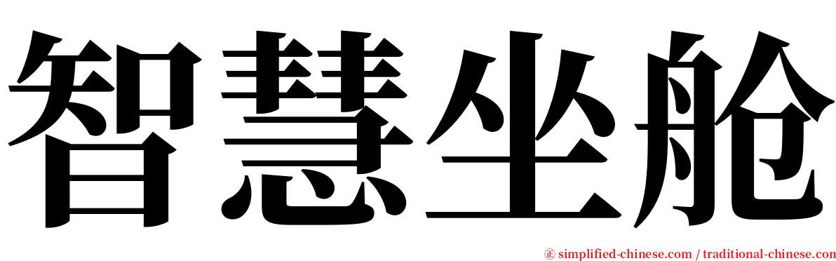 智慧坐舱 serif font
